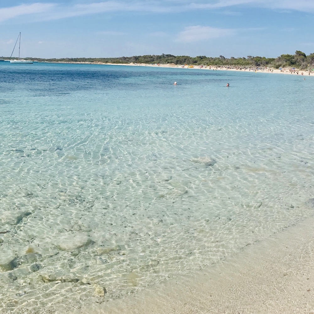 Meet your Posher, Gabriela